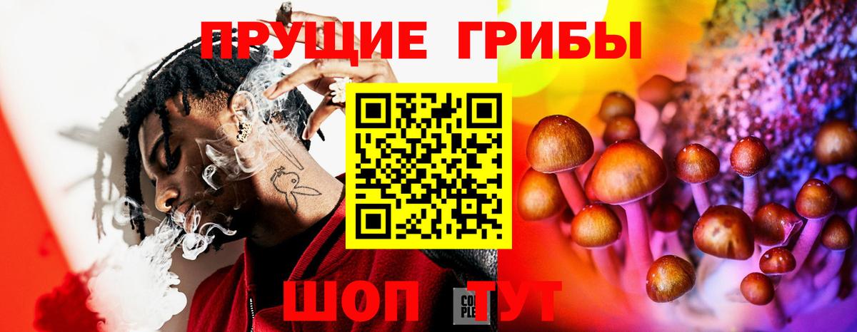 Псилоцибиновые грибы MAGIC MUSHROOMS Котлас