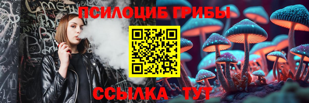Псилоцибиновые грибы GOLDEN TEACHER  наркотики  Котлас  Вход с VPN 